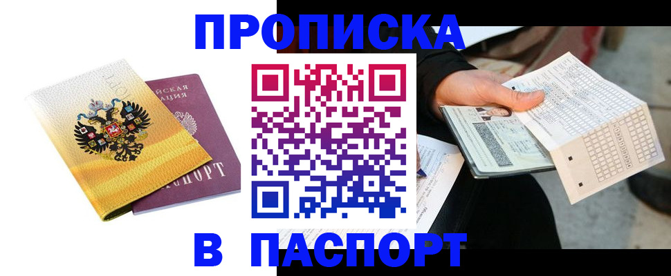 прописка штамп в Сольцах
